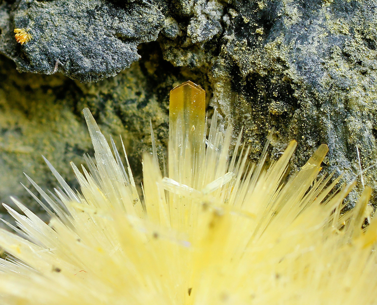 specimens/s_imagesAJ9/Valentinite-EA92AJ9_8984_d3.jpg