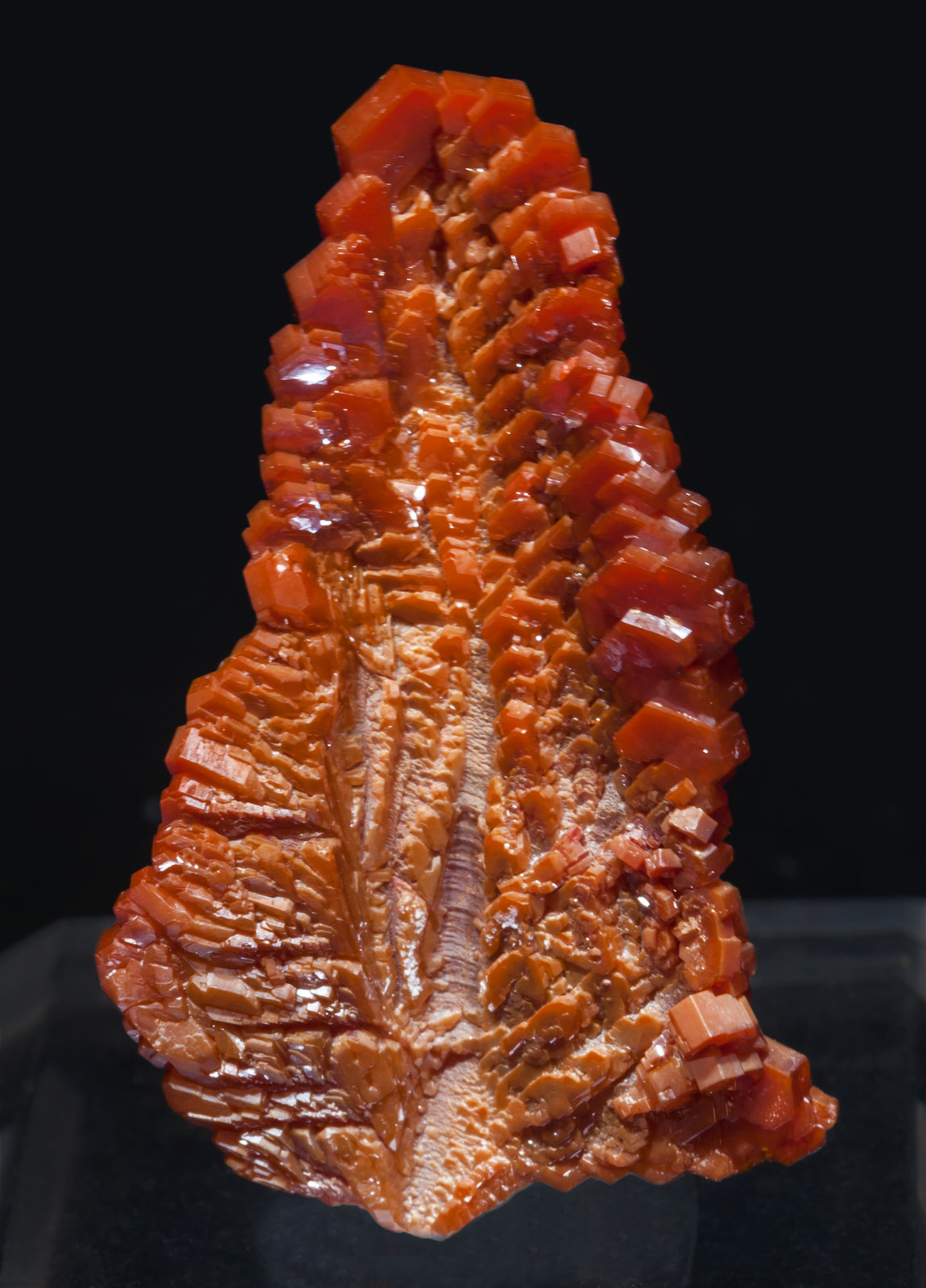 specimens/s_imagesAJ9/Vanadinite-EB48AJ9r.jpg