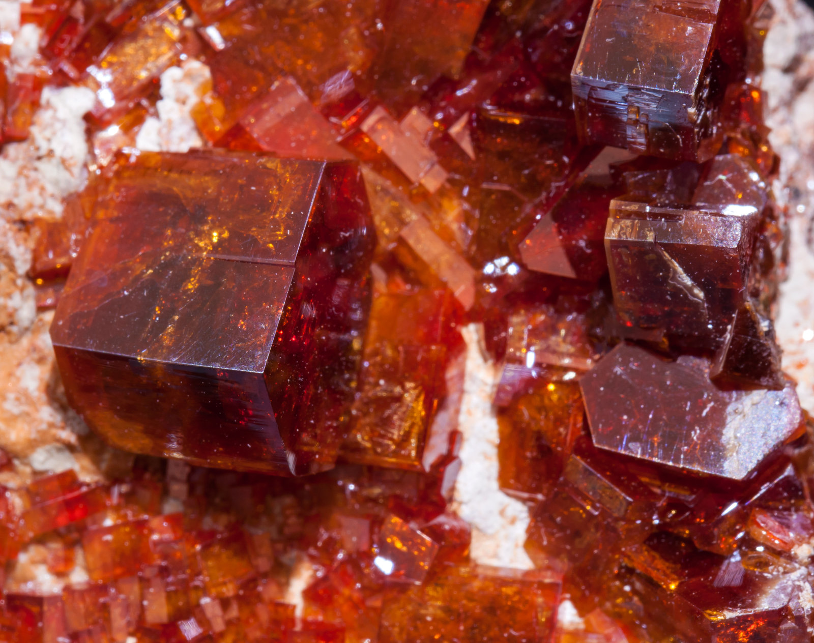 specimens/s_imagesAJ9/Vanadinite-EC92AJ9d.jpg