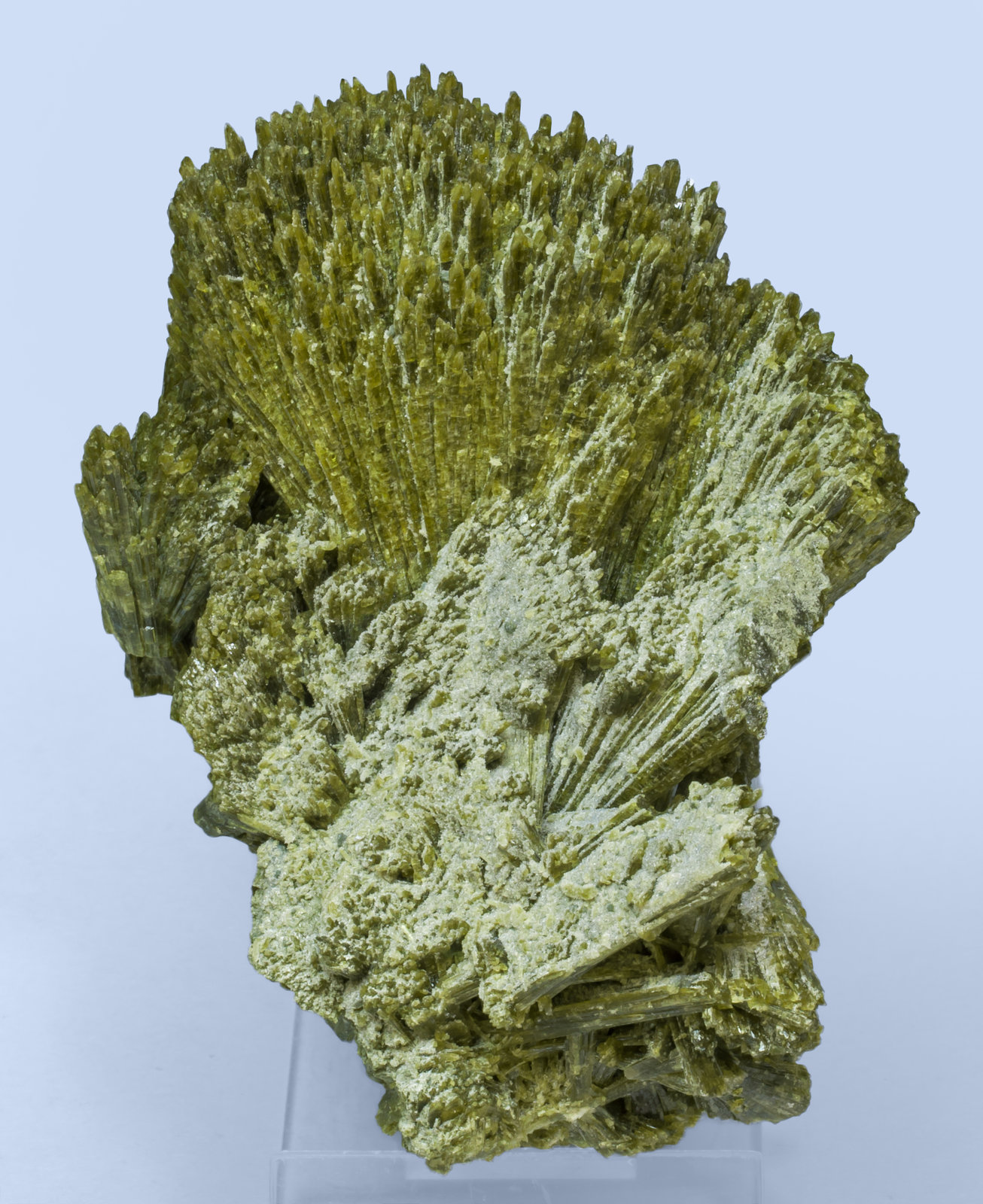 specimens/s_imagesAK0/Epidote-LC70AK0r.jpg