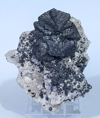 Fluorite (variety antozonite) with Quartz.