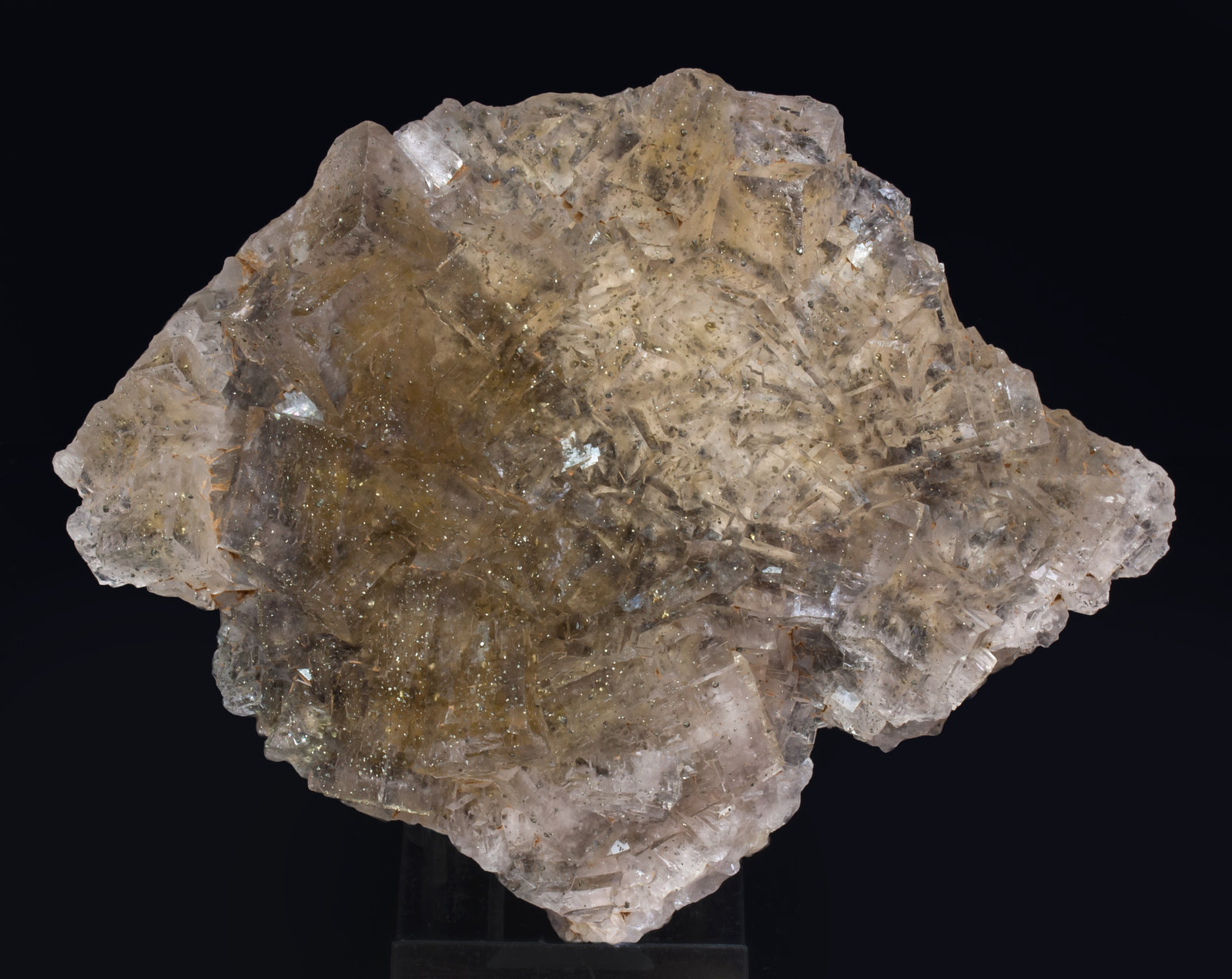 specimens/s_imagesAK0/Fluorite-LM68AK0f.jpg