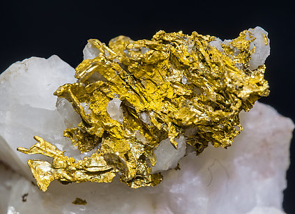 Gold with Quartz. 