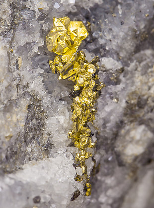 Gold with Quartz. 