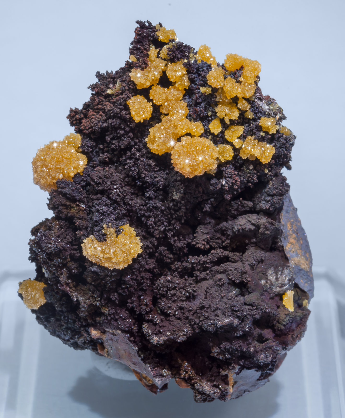 specimens/s_imagesAK0/Mimetite-TT13AK0f.jpg