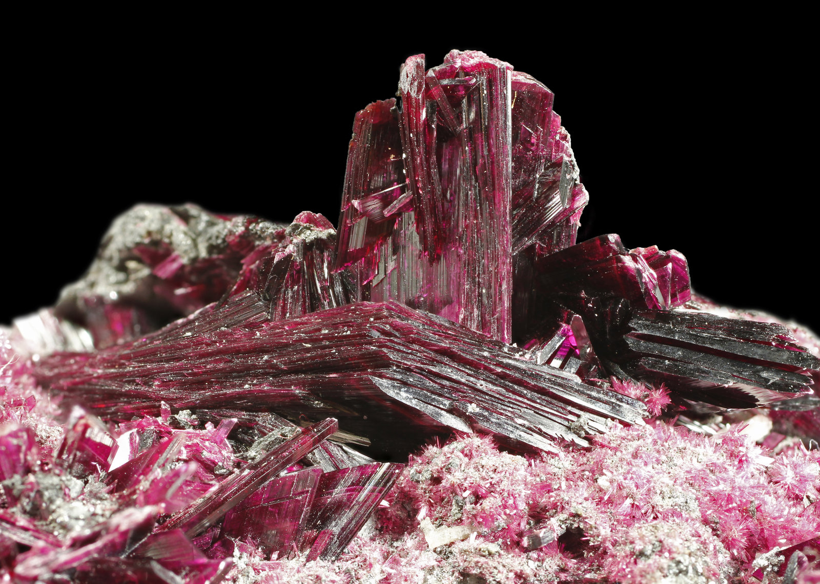 specimens/s_imagesAK1/Erythrite-EK86AK1_9896_d1.jpg