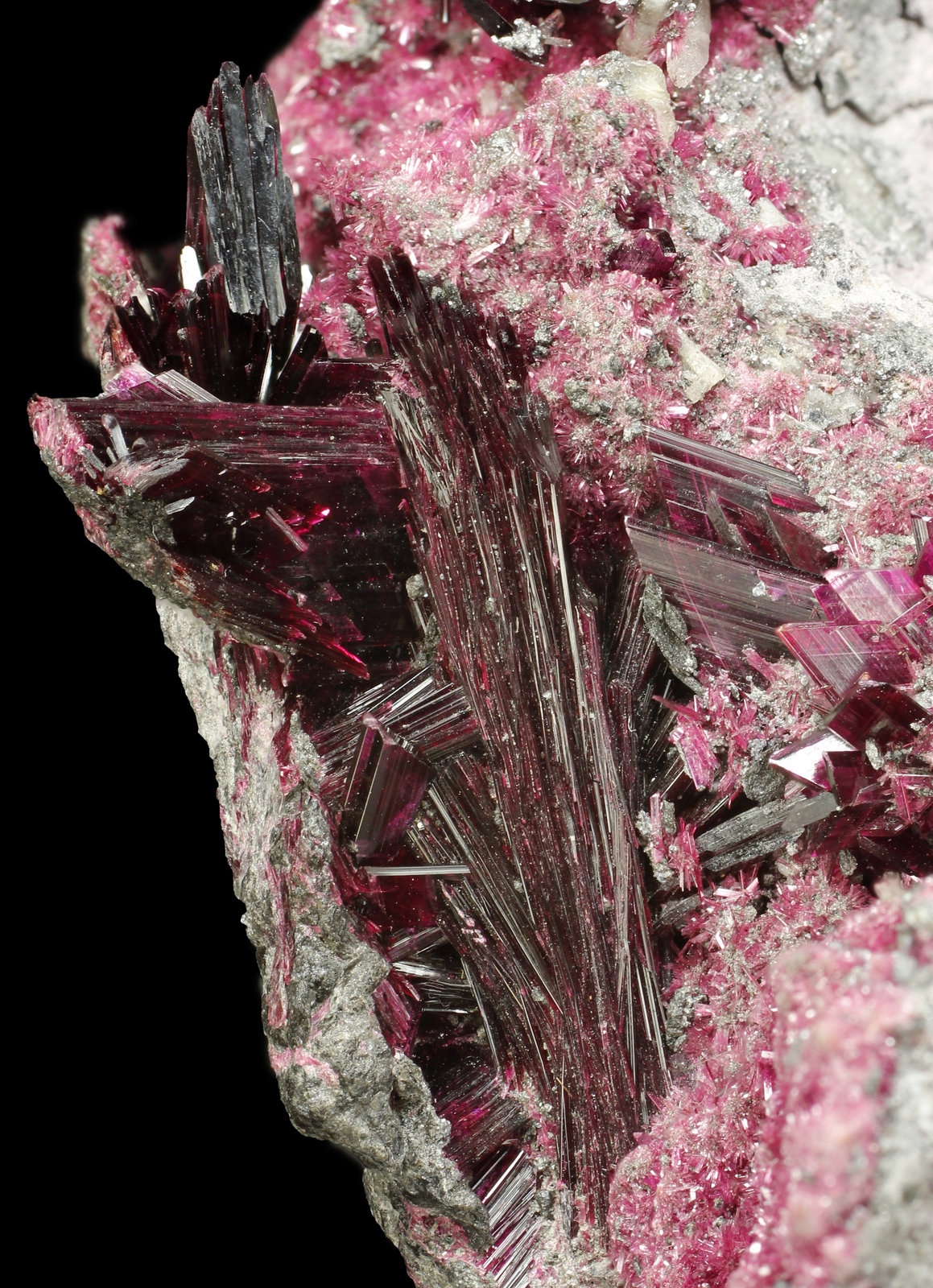 specimens/s_imagesAK1/Erythrite-EK86AK1_9965_d2.jpg