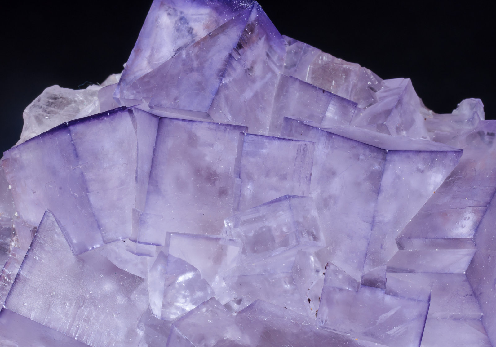 specimens/s_imagesAK1/Fluorite-ER70AK1d.jpg