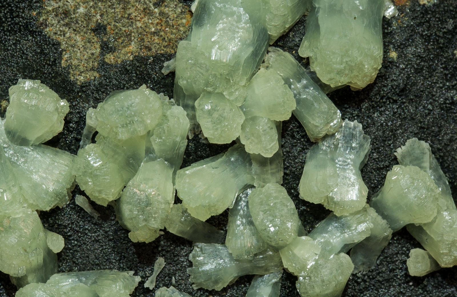 specimens/s_imagesAK1/Prehnite-EL14AK1d.jpg