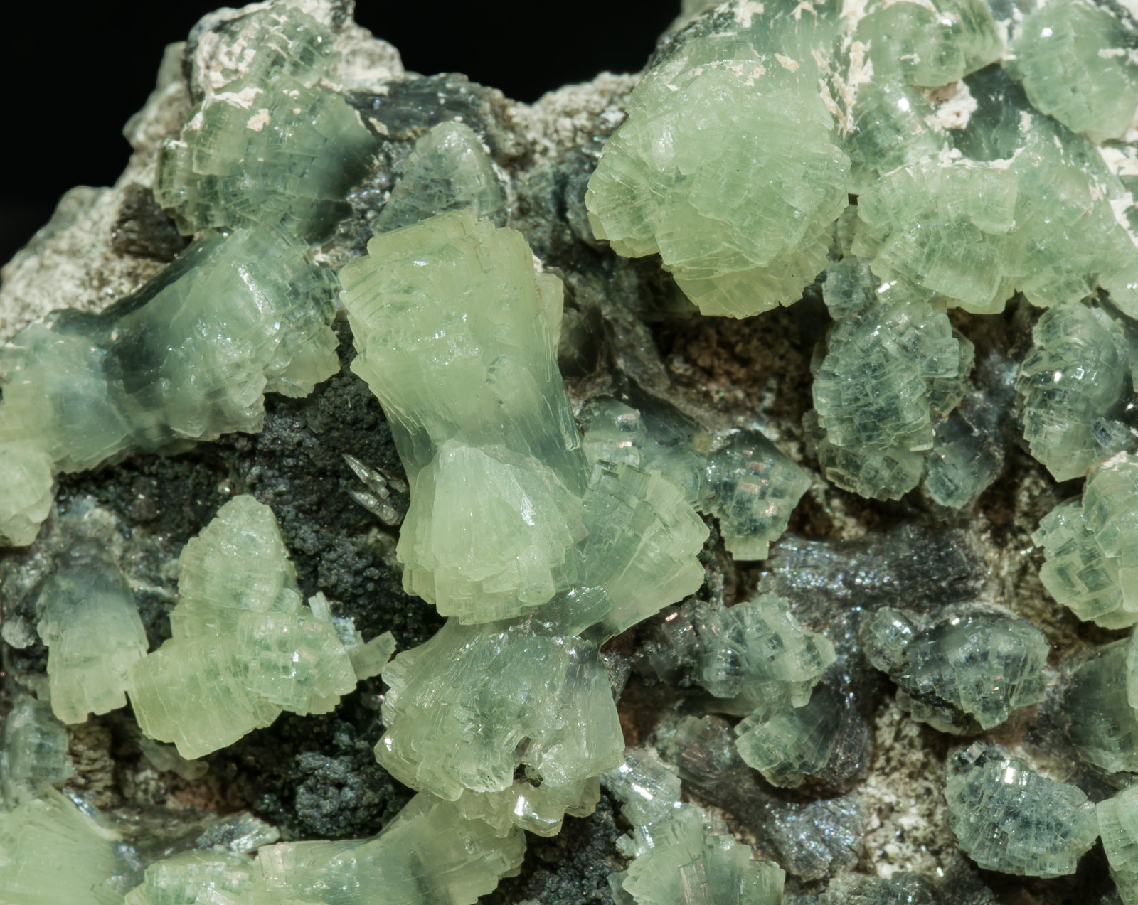 specimens/s_imagesAK1/Prehnite-EV26AK1d.jpg