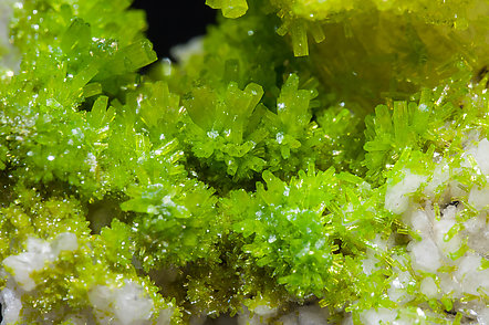 Pyromorphite with Quartz and Baryte. 