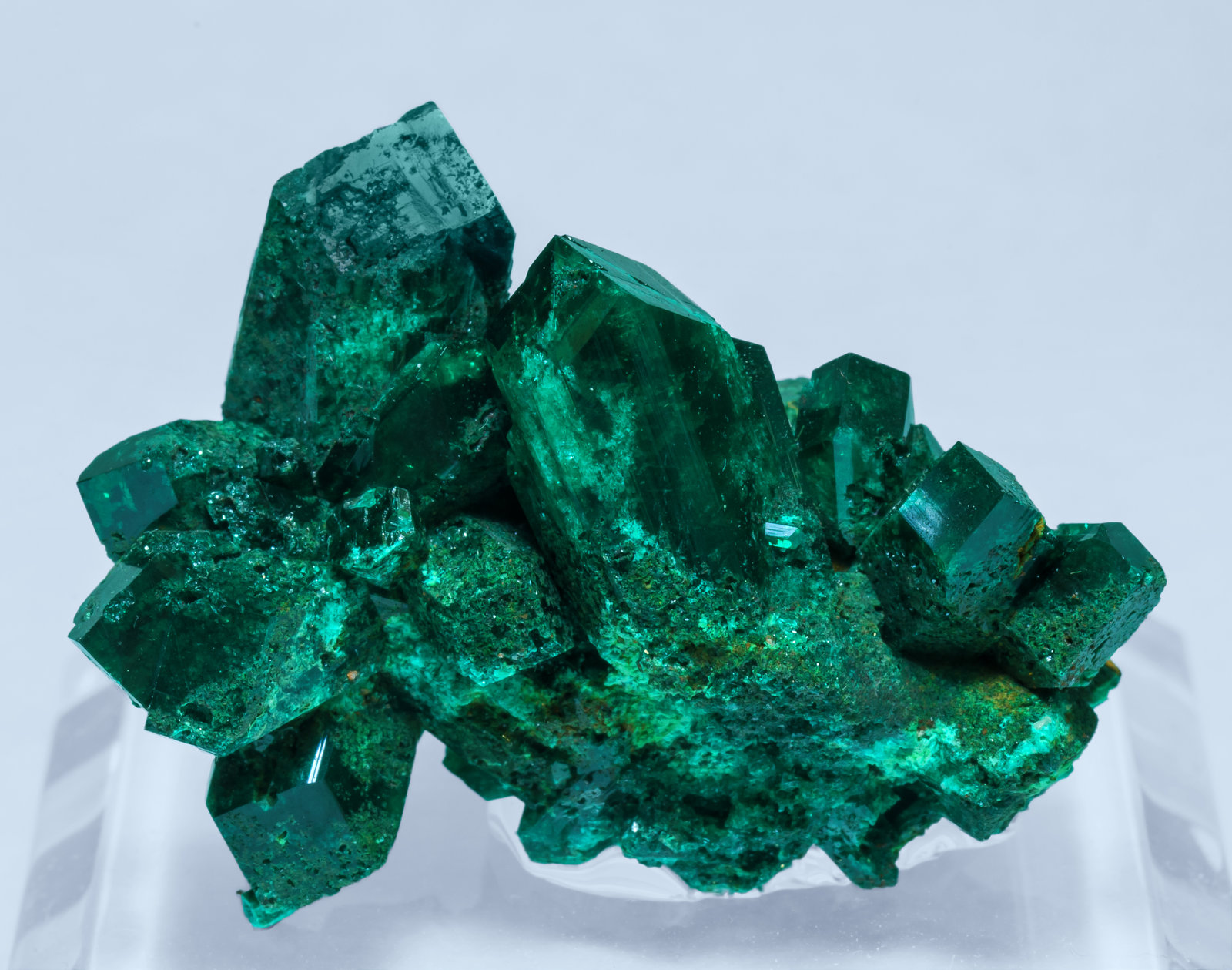 specimens/s_imagesAK2/Dioptase-LR88AK2f.jpg