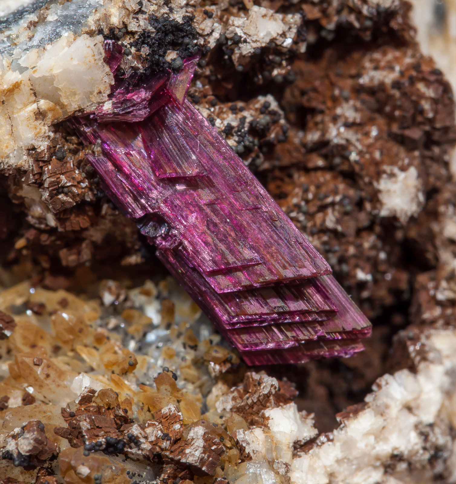 specimens/s_imagesAK2/Erythrite-GQ13AK2d.jpg