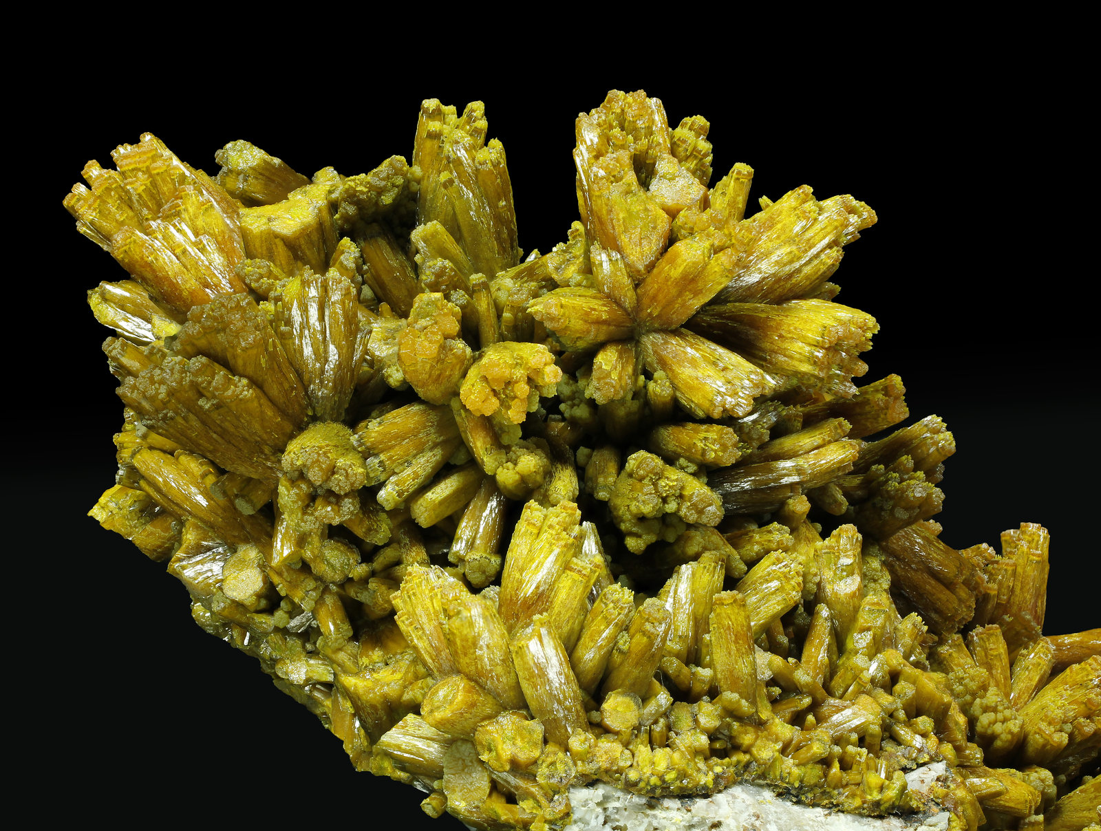 specimens/s_imagesAK2/Pyromorphite-LG91AK2_2984_d1.jpg