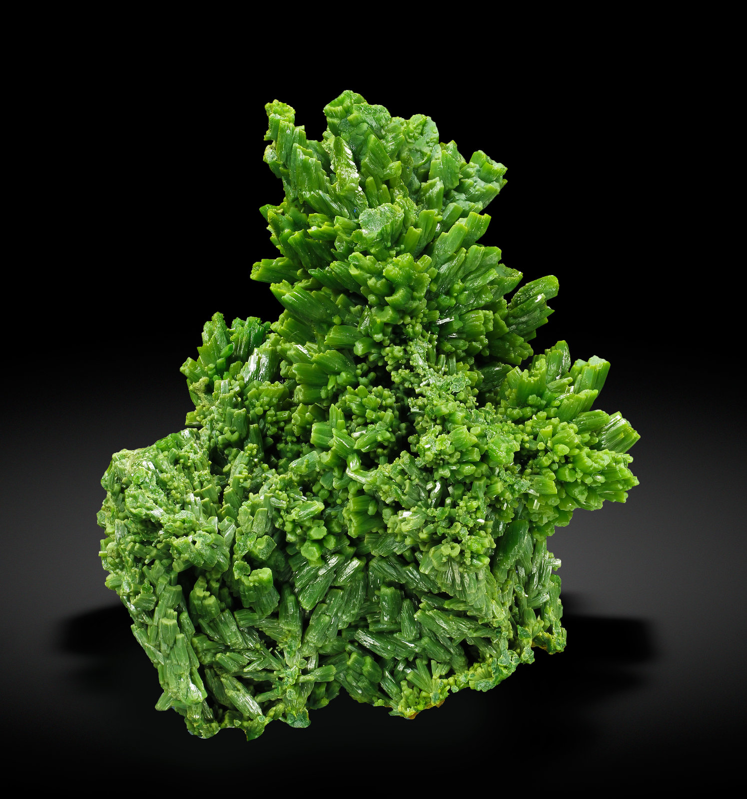 specimens/s_imagesAK2/Pyromorphite-LQ99AK2_2778_f.jpg