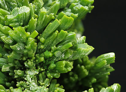 Pyromorphite. 