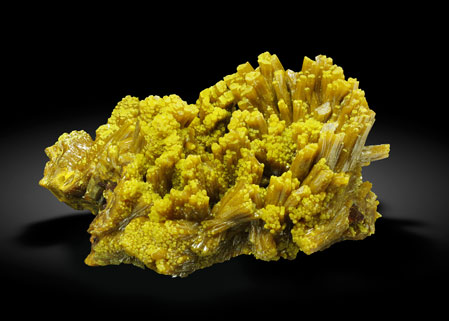 Pyromorphite. Rear