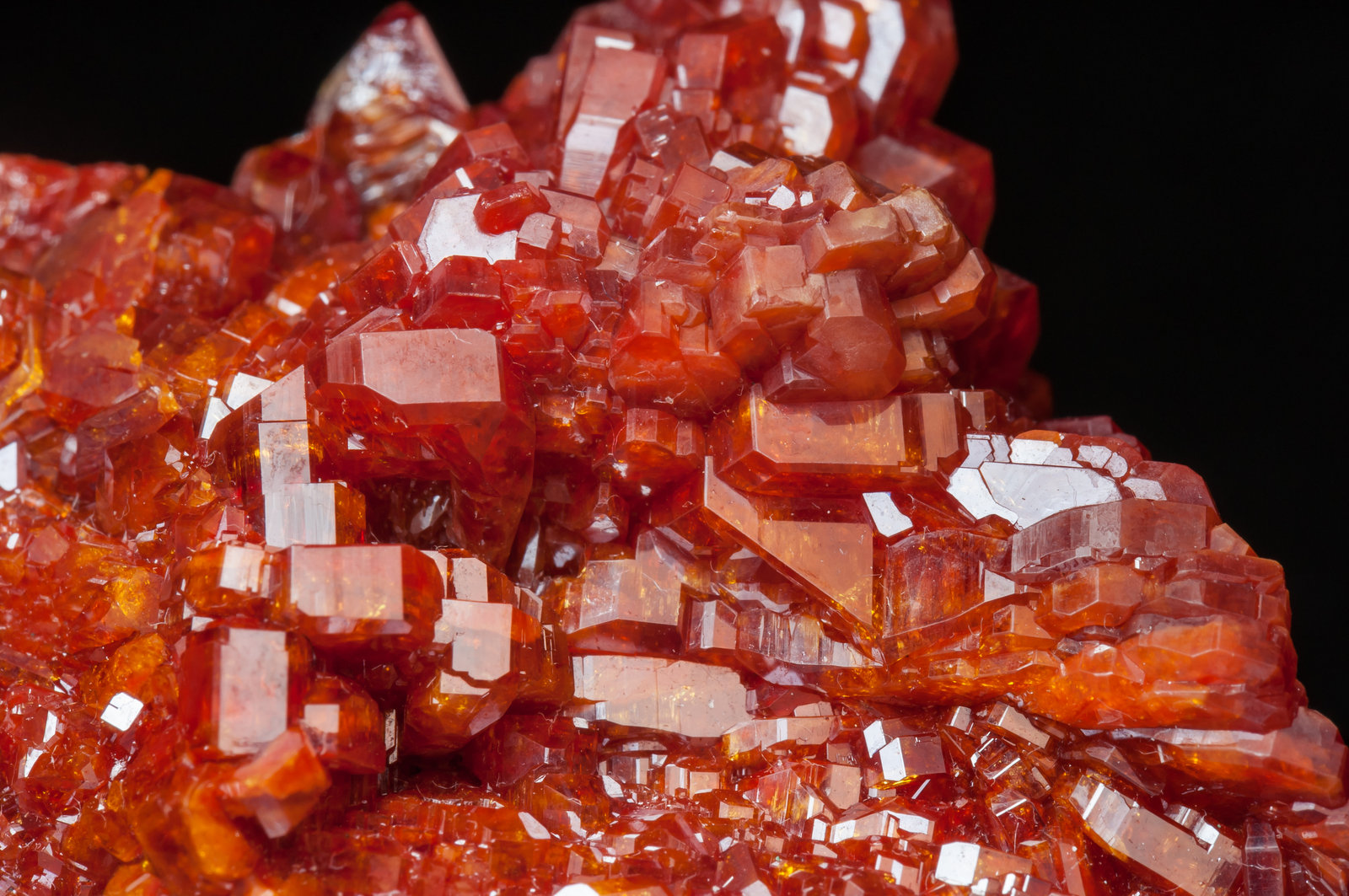 specimens/s_imagesAK2/Vanadinite-LX69AK2d2.jpg