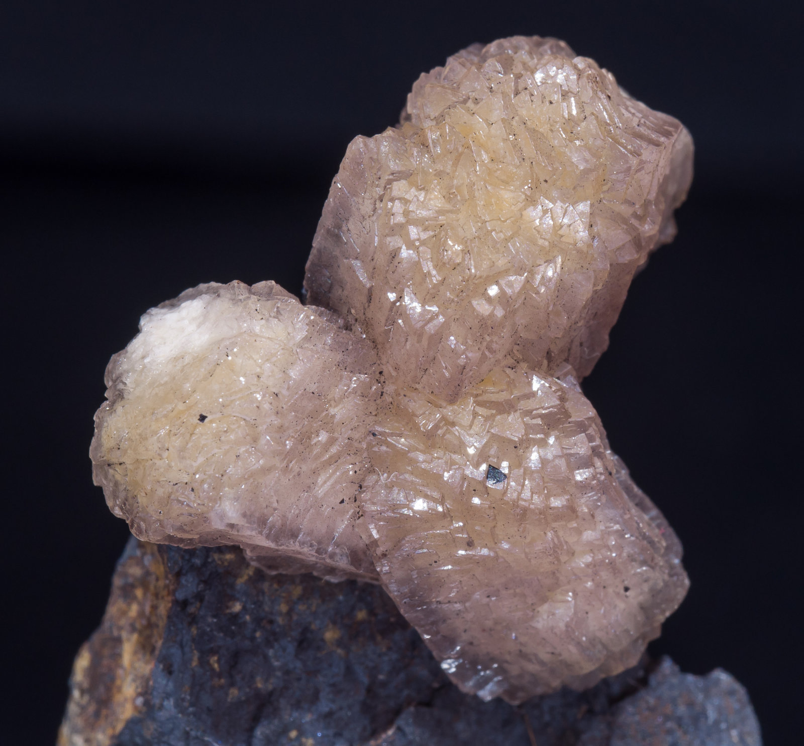 specimens/s_imagesAK3/Olmiite-EP67AK3d1.jpg