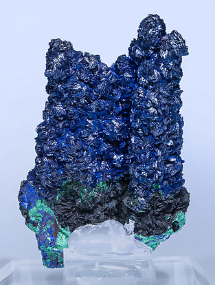 Azurite with Malachite. Rear