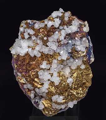 Chalcopyrite with Quartz. 