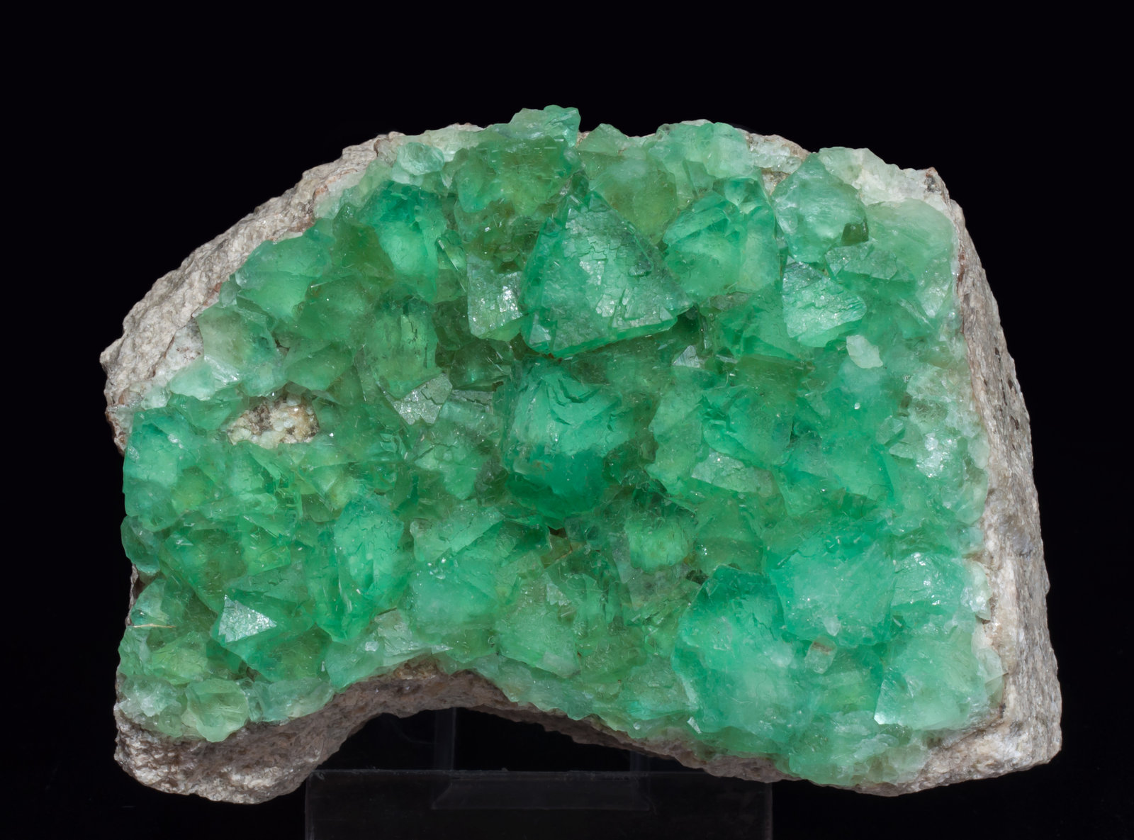 specimens/s_imagesAK4/Fluorite-MT47AK4f.jpg