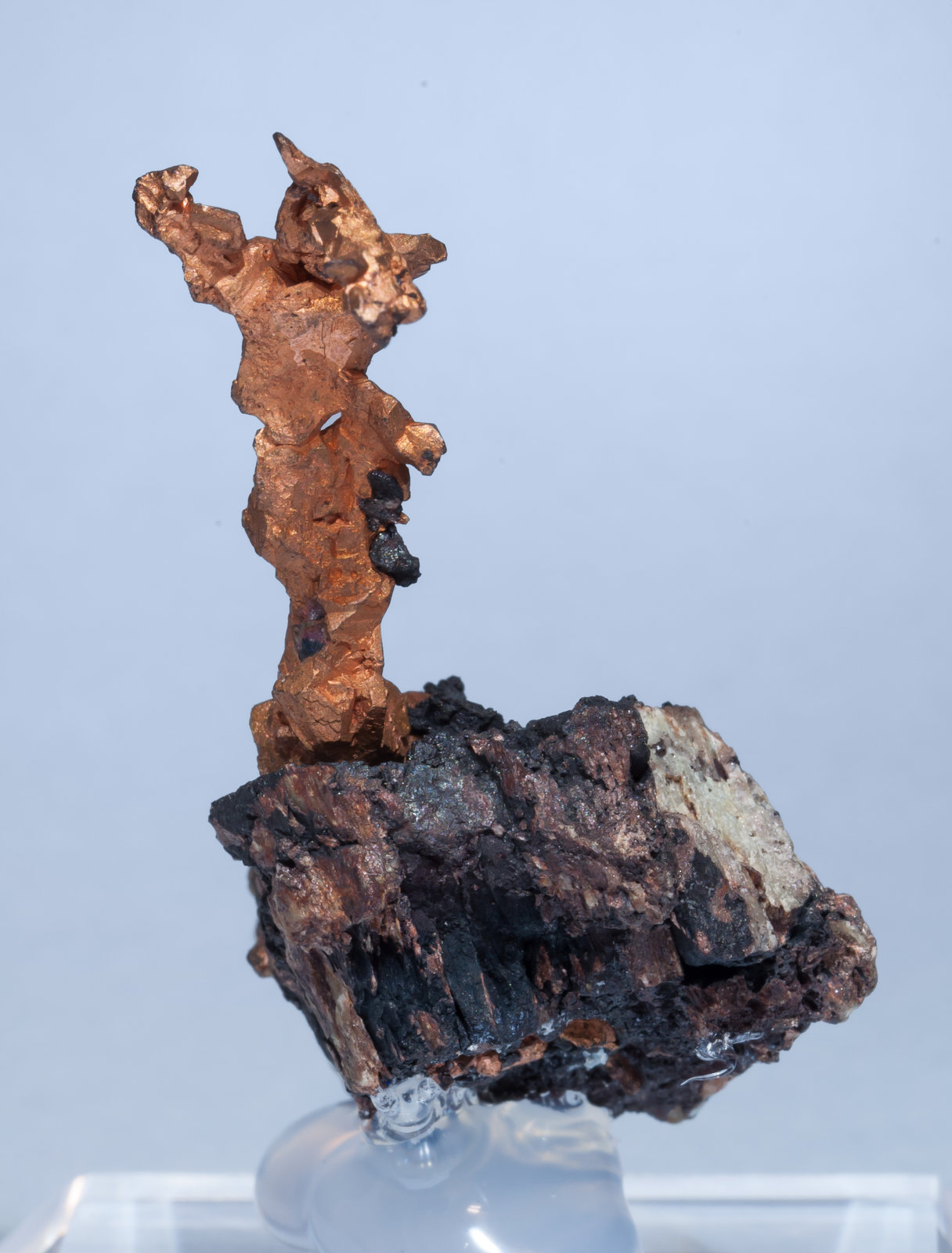 specimens/s_imagesAK5/Copper-GA96AK5r.jpg