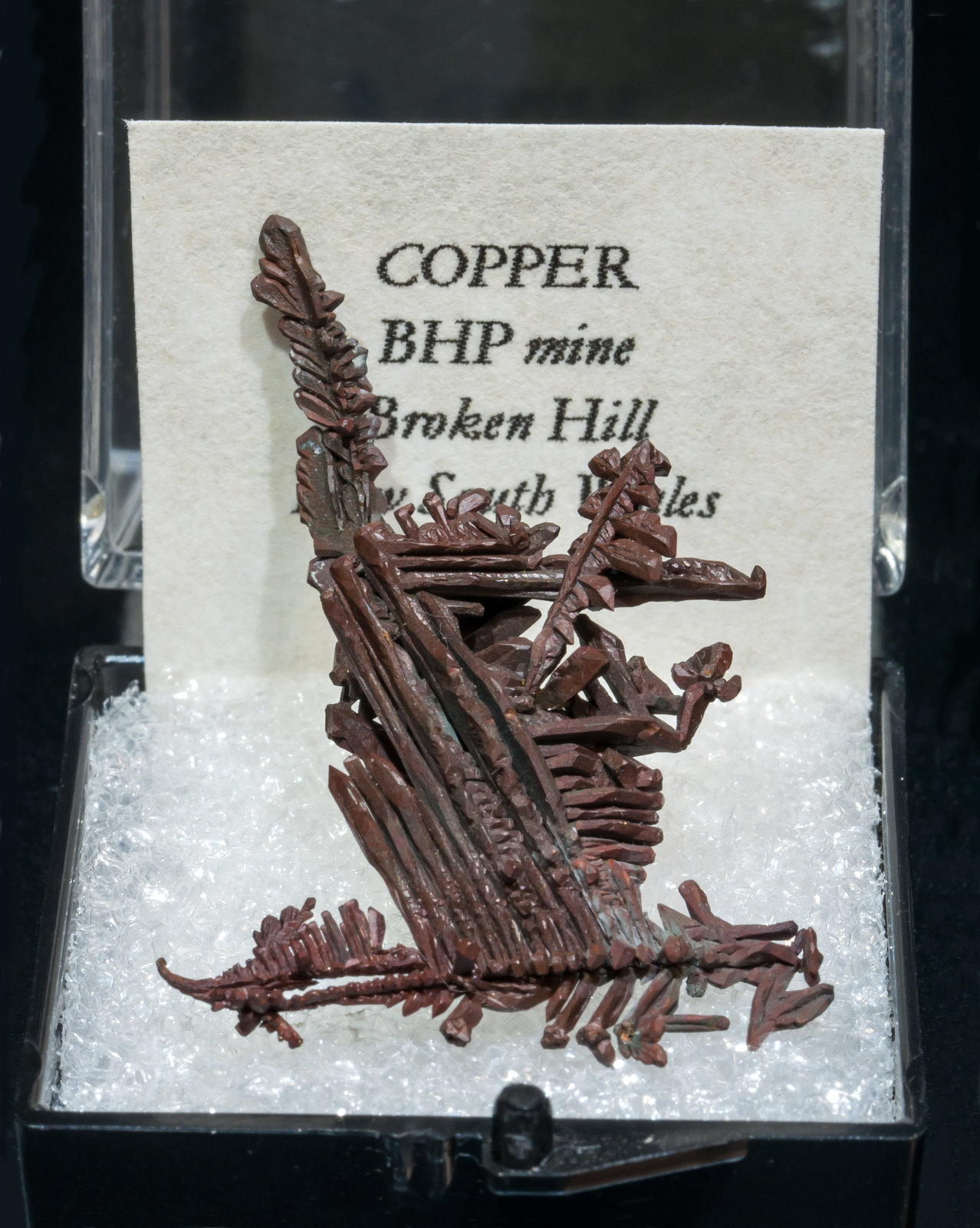 specimens/s_imagesAK5/Copper-TX58AK5f1.jpg