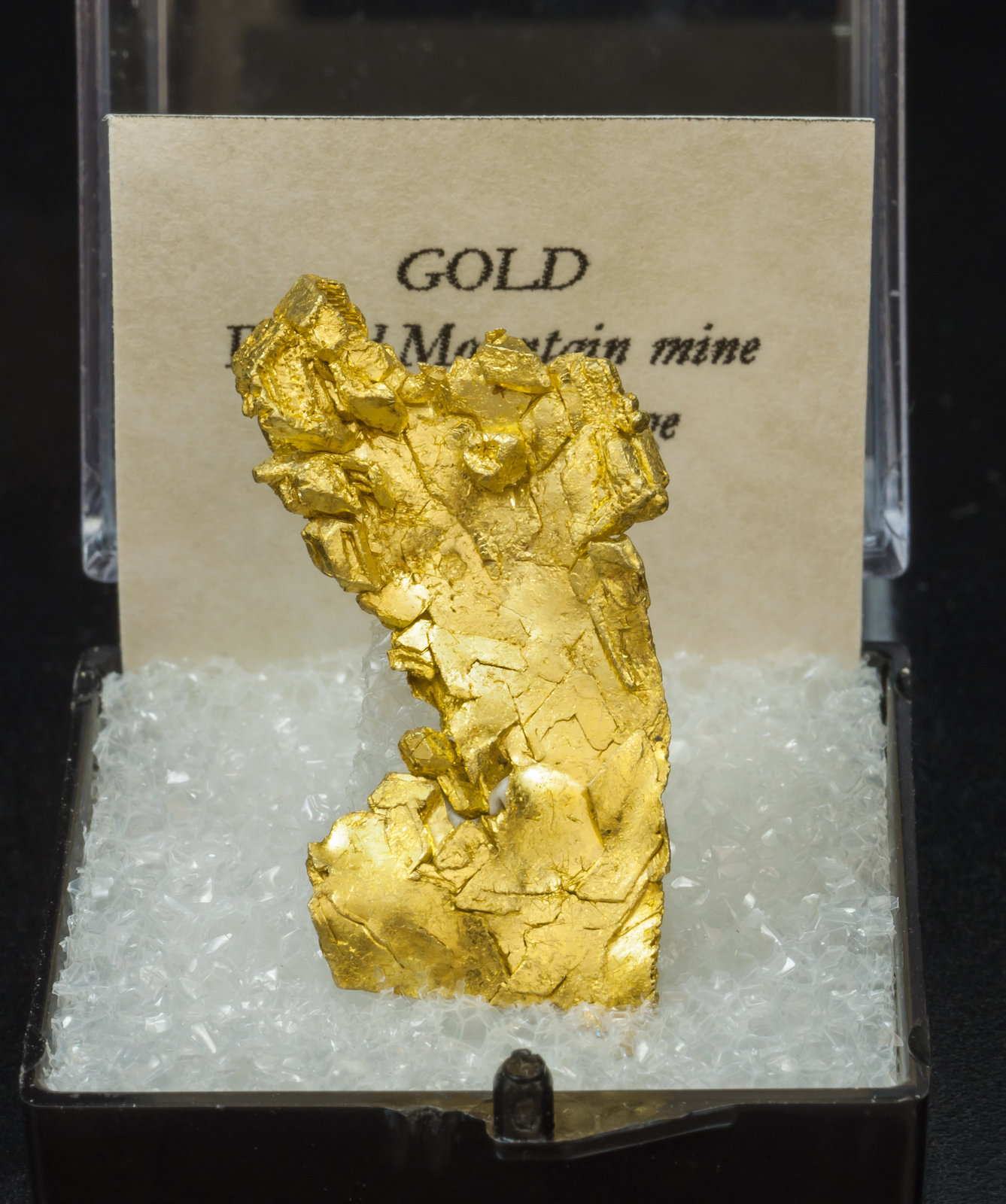 specimens/s_imagesAK5/Gold-TF3AK5f1.jpg