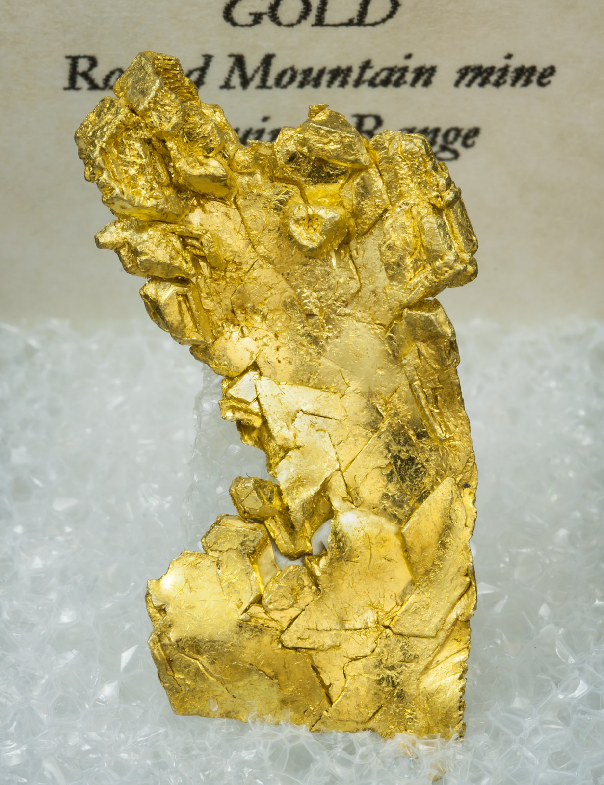 specimens/s_imagesAK5/Gold-TF3AK5f2.jpg