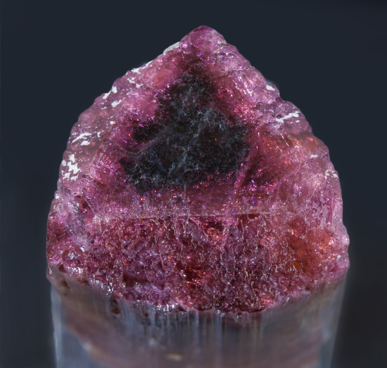 specimens/s_imagesAK6/Elbaite-MX89AK6t.jpg