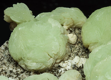 Prehnite with Augite. 