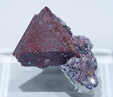 Zunyite with Hematite. 