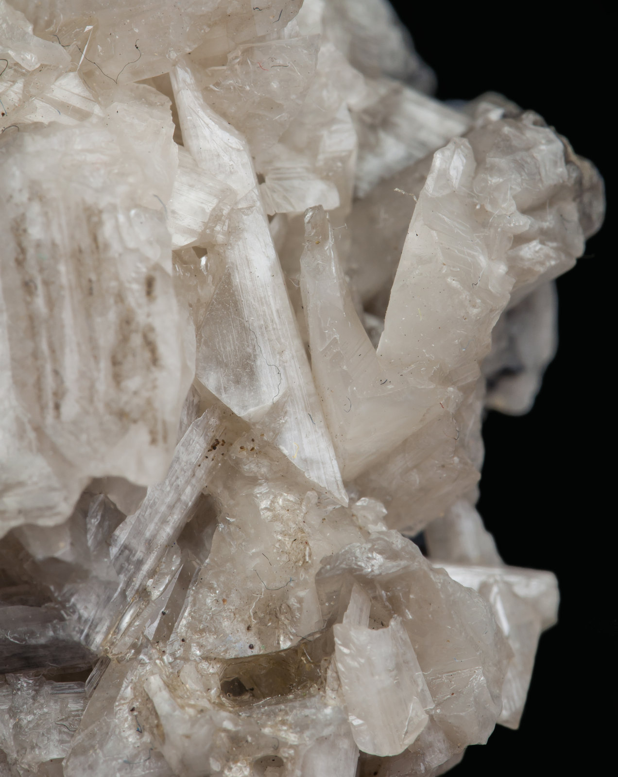 specimens/s_imagesAK7/Cerussite-DL86AK7d1.jpg