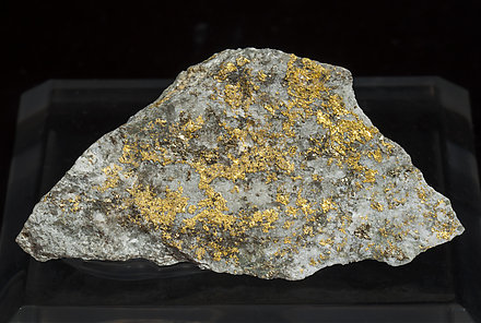 Gold with Quartz. 