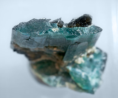 Grandidierite with Phlogopite. Top