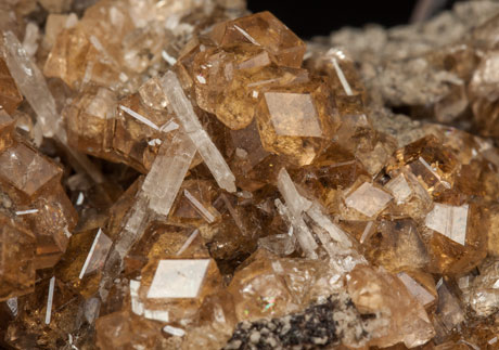 Grossular (variety hessonite) with Pectolite. 