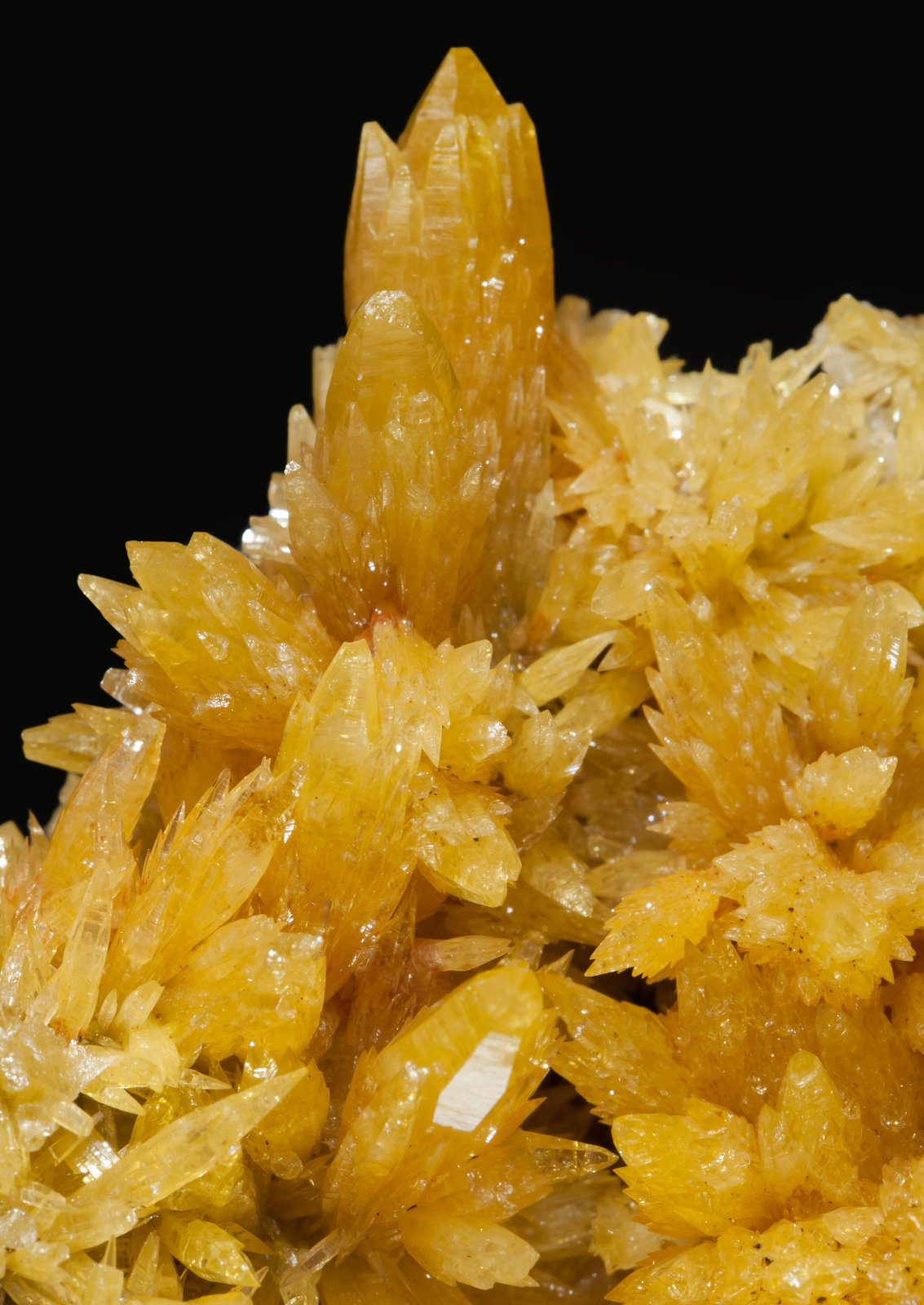 specimens/s_imagesAK7/Mimetite-EC64AK7d.jpg