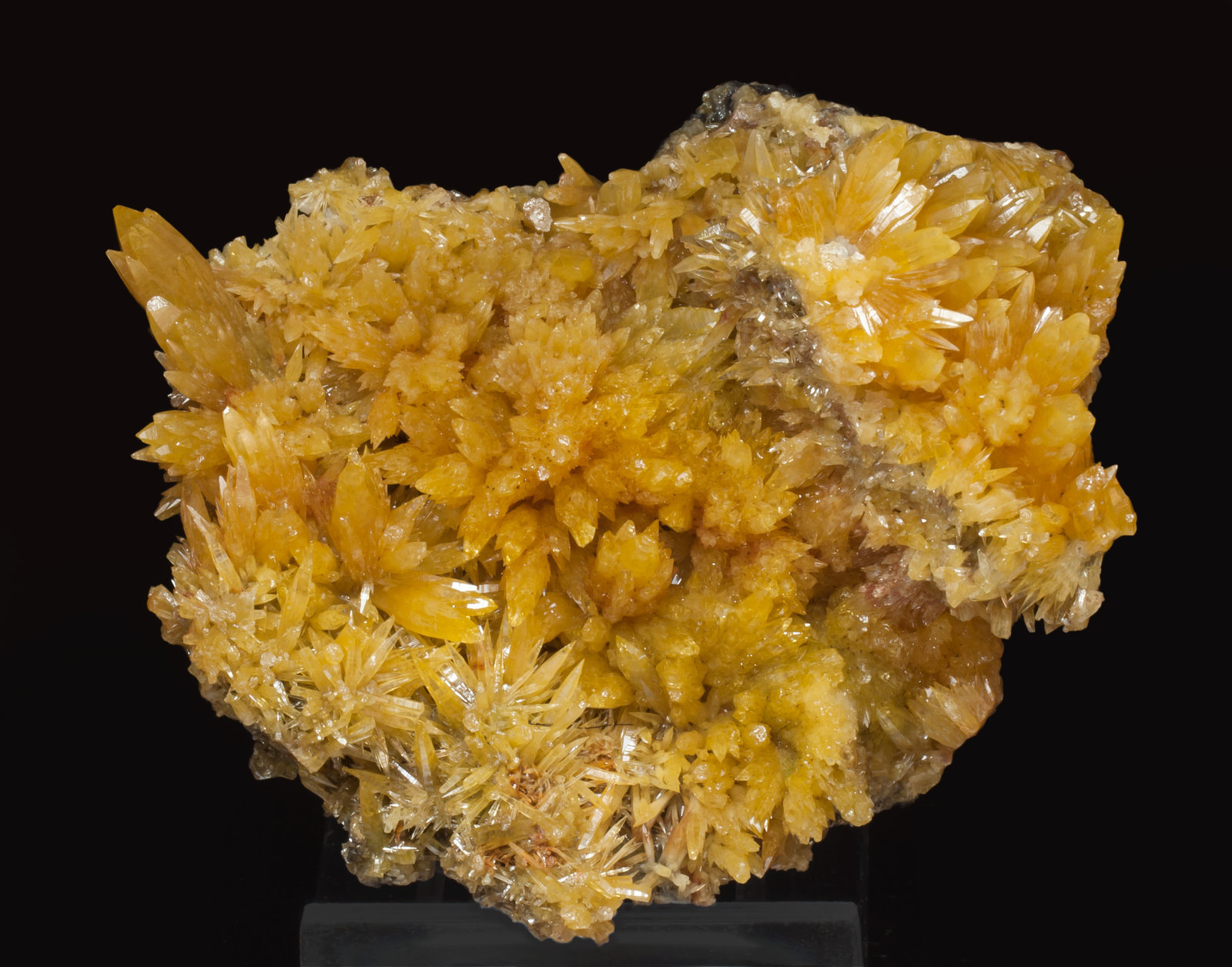 specimens/s_imagesAK7/Mimetite-EC64AK7f.jpg