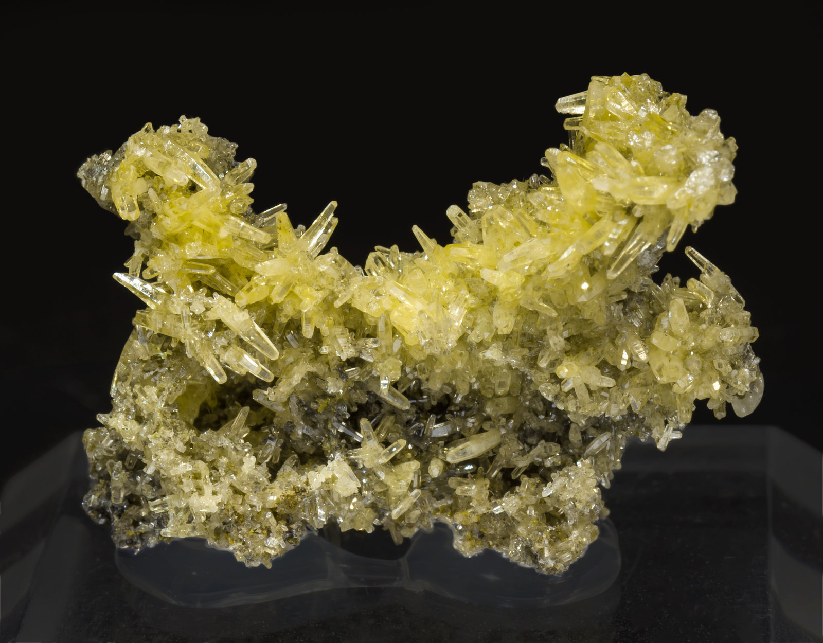 specimens/s_imagesAK7/Mimetite-LR86AK7f.jpg