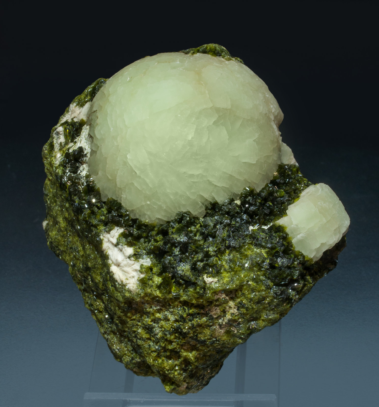 specimens/s_imagesAK7/Prehnite-MM16AK7f.jpg