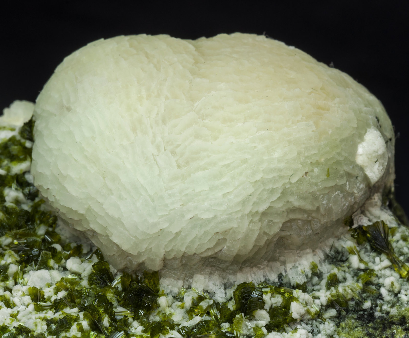 specimens/s_imagesAK7/Prehnite-MQ26AK7d2.jpg