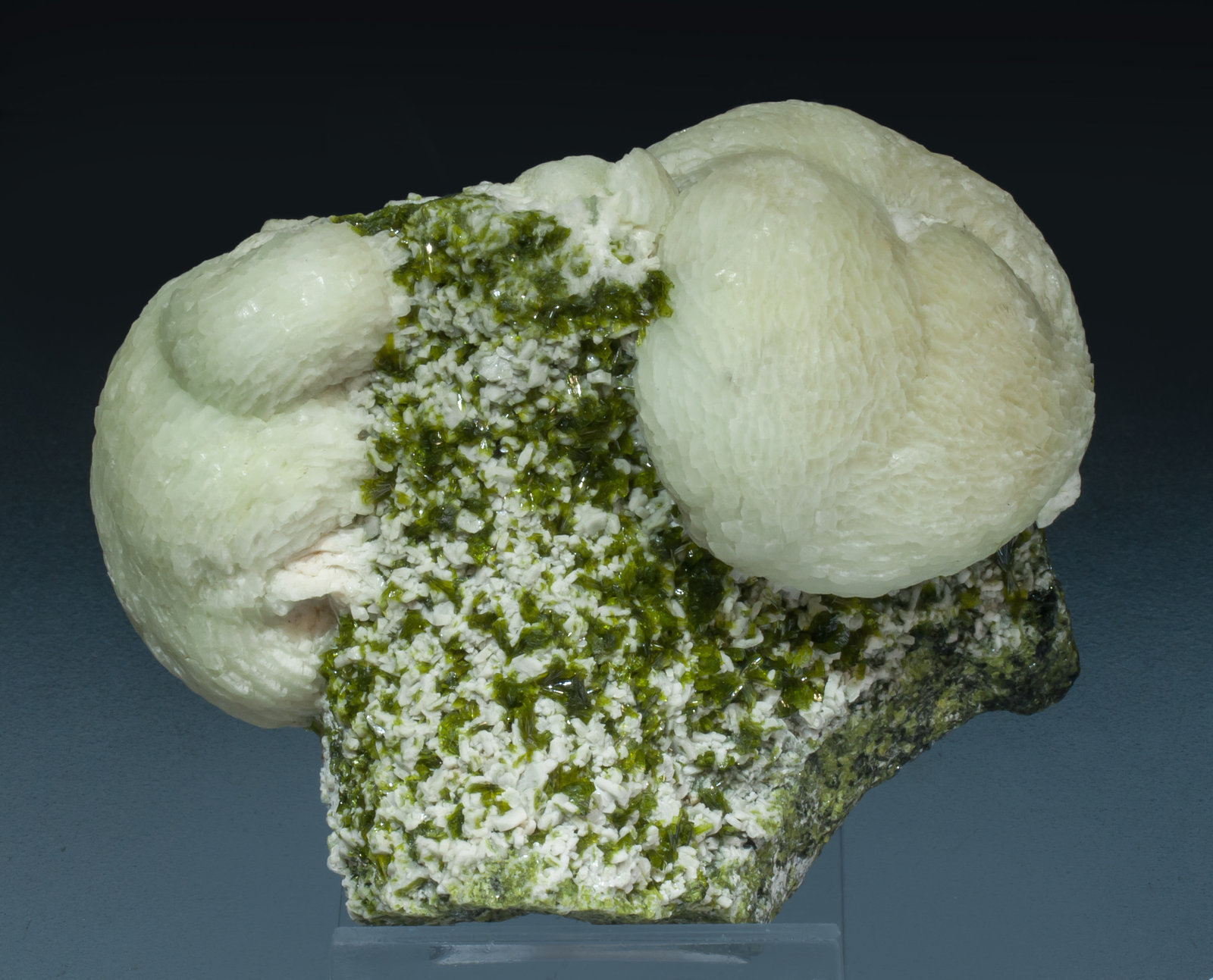 specimens/s_imagesAK7/Prehnite-MQ26AK7f.jpg