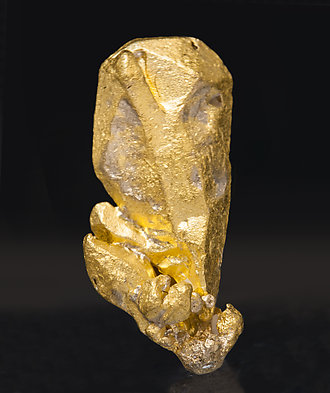 Oro. Vista posterior