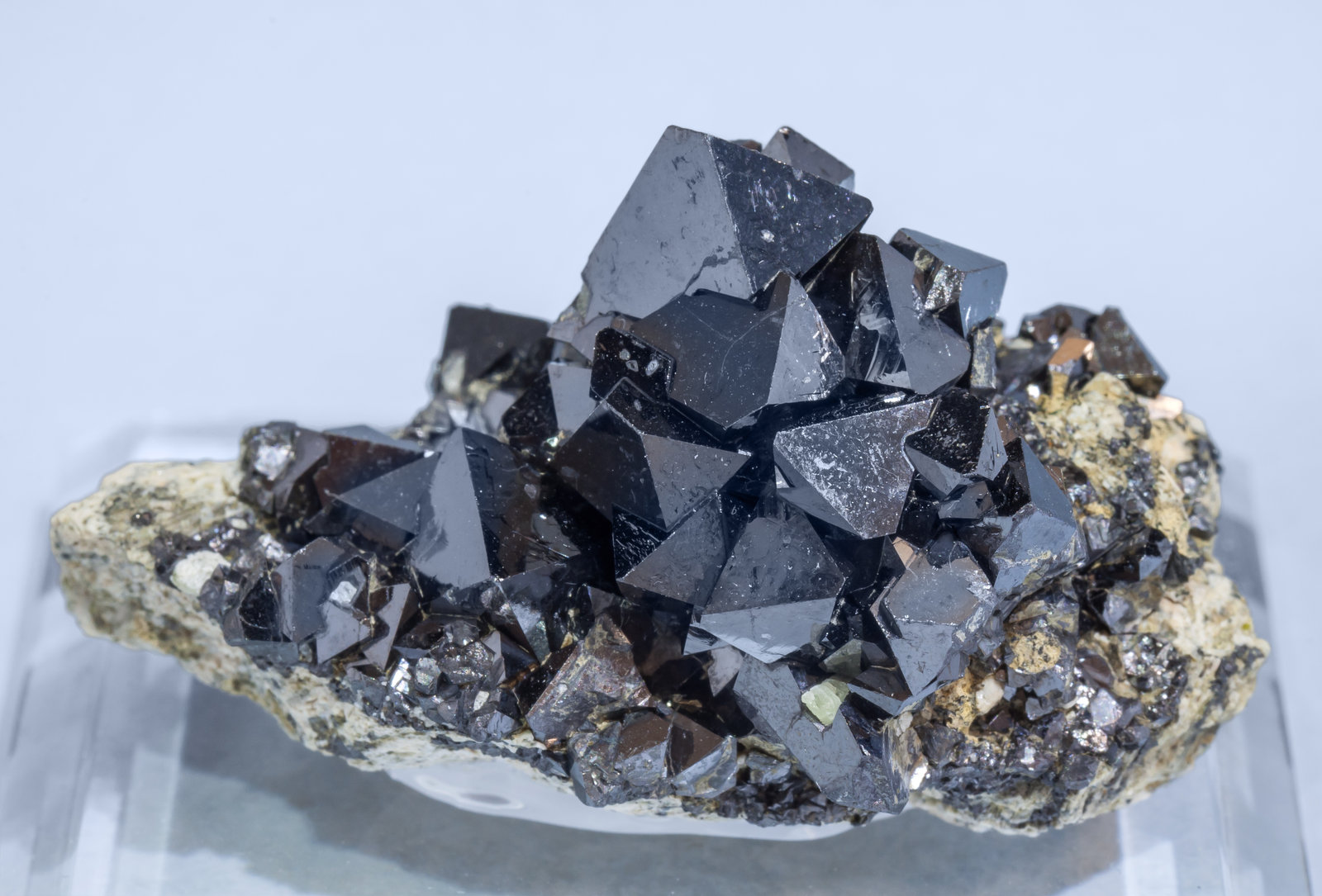 specimens/s_imagesAK8/Magnetite-ND36AK8f.jpg