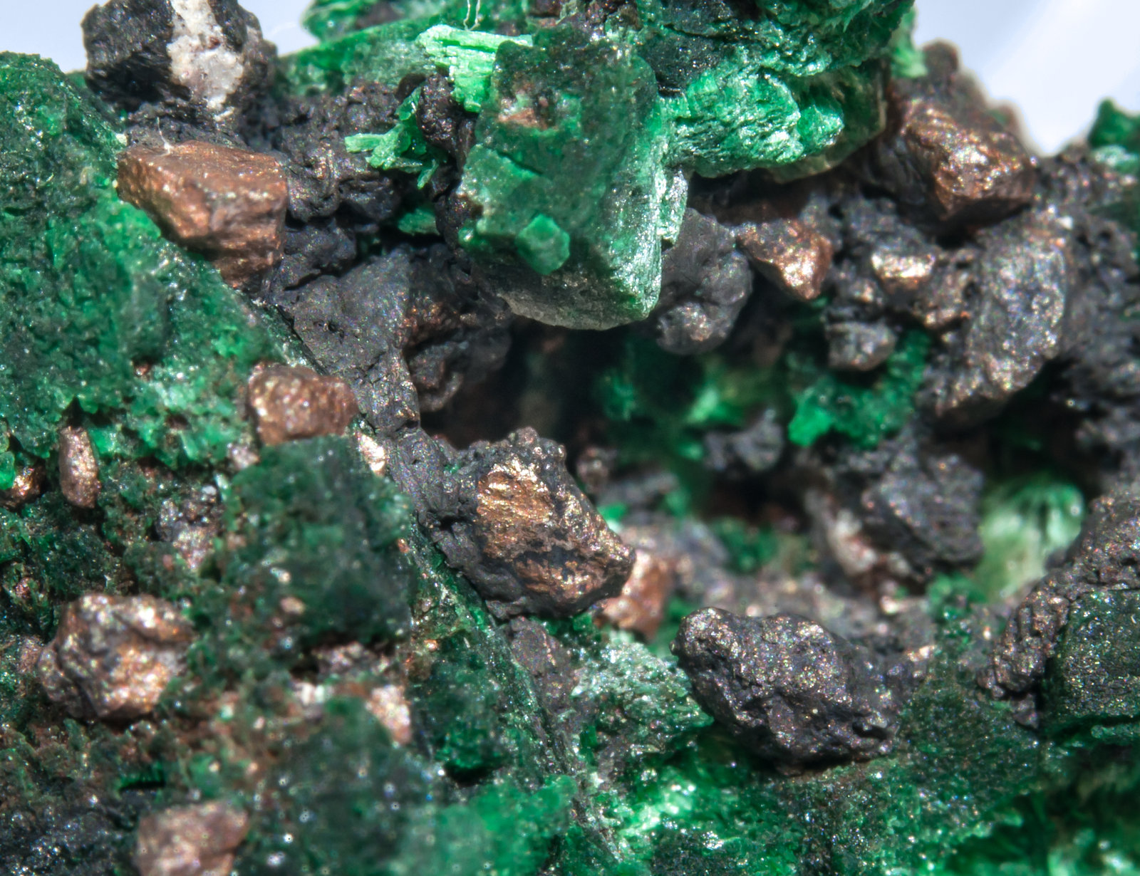 specimens/s_imagesAK8/Malachite-EY48AK8d.jpg