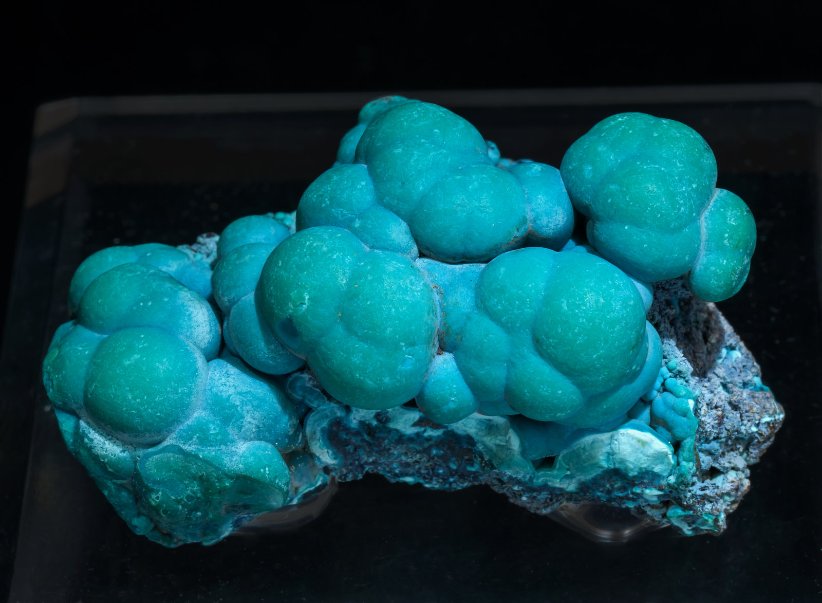 specimens/s_imagesAK9/Chrysocolla-TC48AK9t.jpg