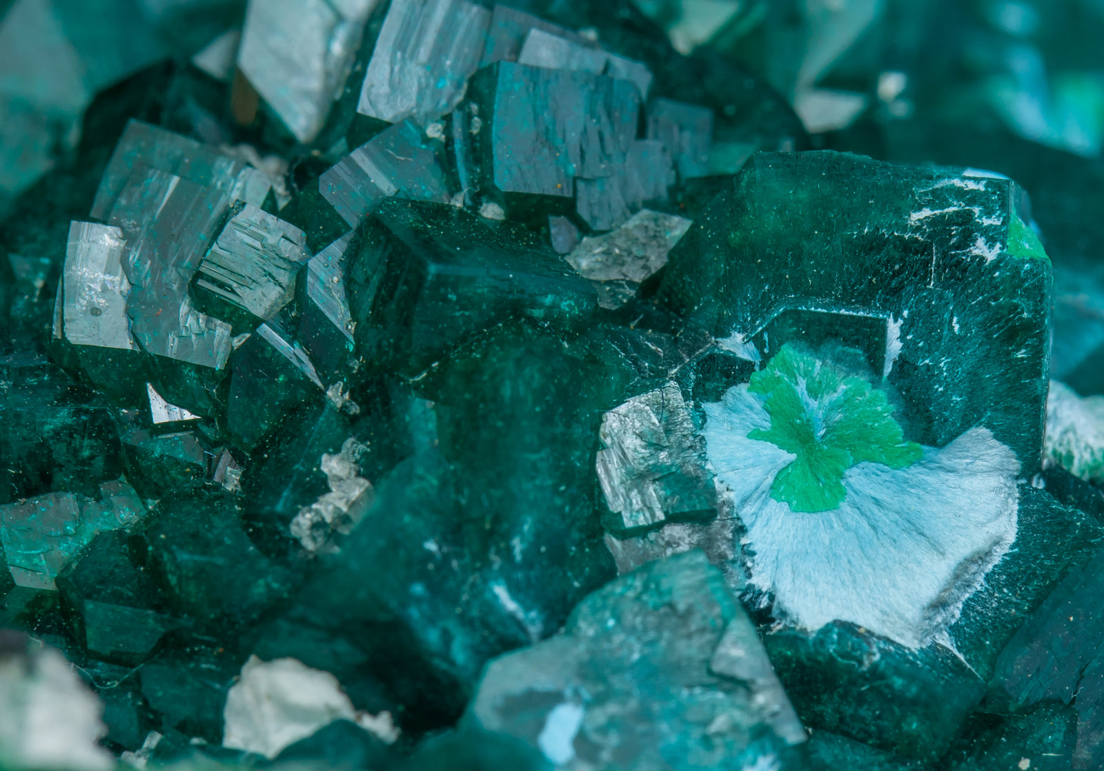 specimens/s_imagesAK9/Dioptase-ME89AK9d2.jpg