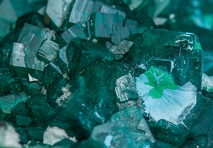 Dioptase with Shattuckite. 