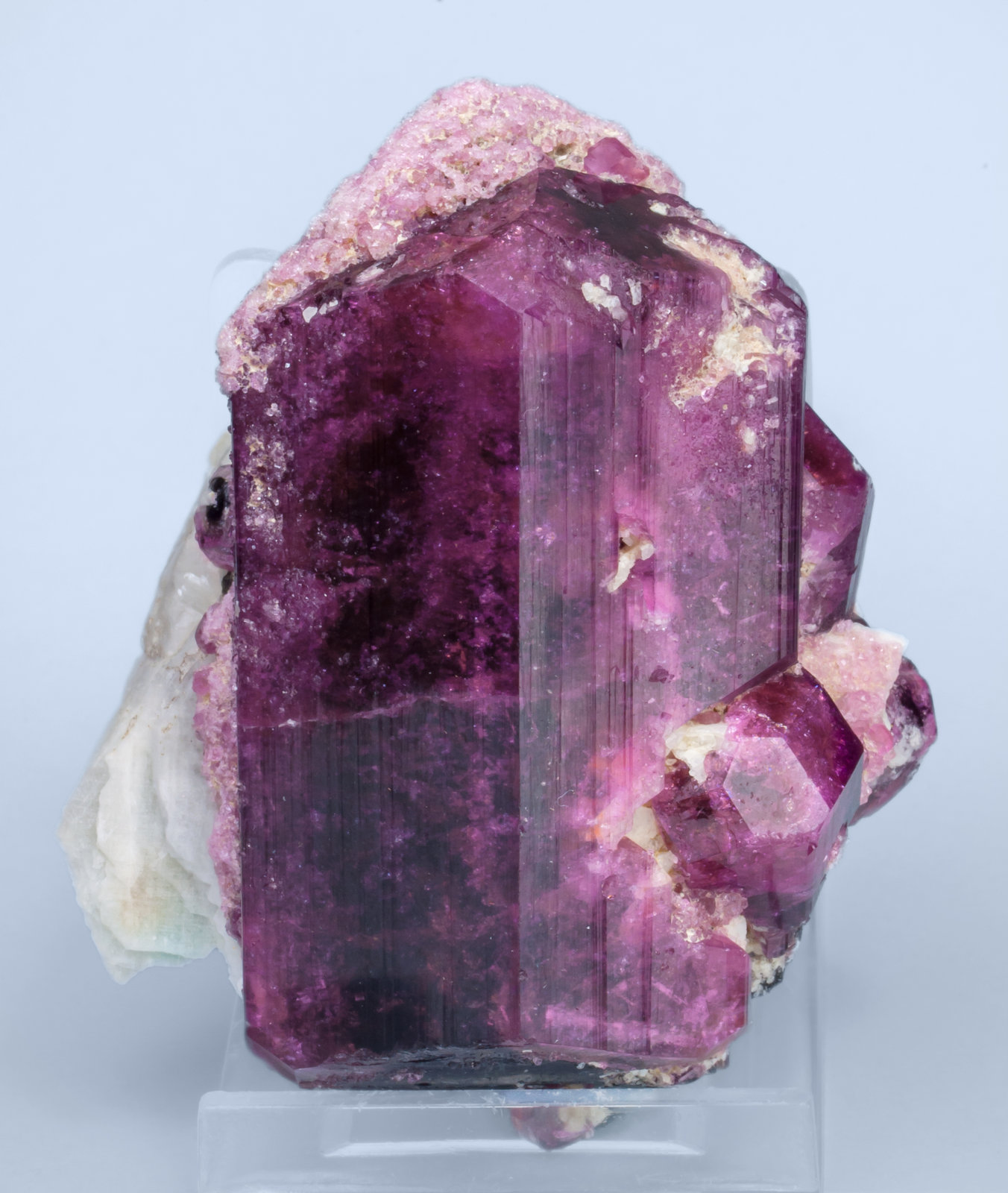 specimens/s_imagesAK9/Fluor-liddicoatite-EG87AK9f.jpg